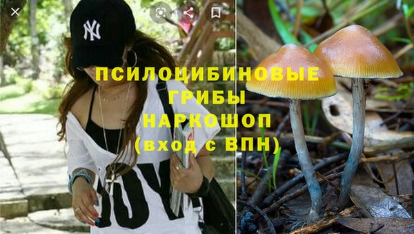 амф Красноперекопск