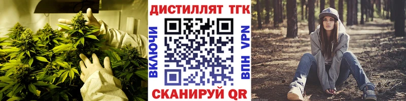 Купить где  Завитинск  ТГК концентрат 